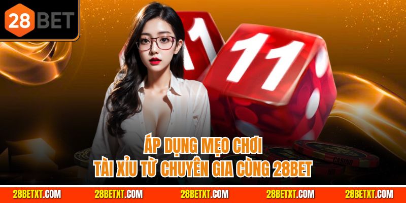 Áp dụng mẹo chơi tài xỉu từ chuyên gia của 28bet